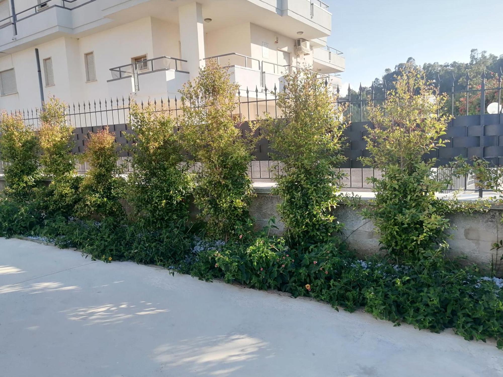Residence Mare Azzurro Balestrate Εξωτερικό φωτογραφία